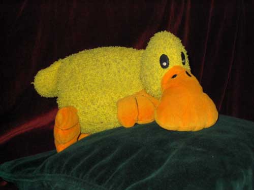 Here's Duckthing